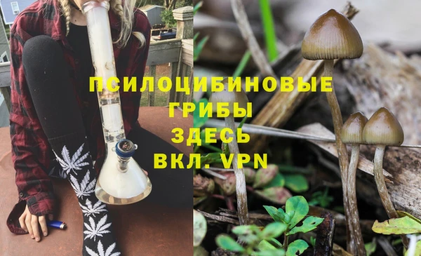 прущая мука Коряжма