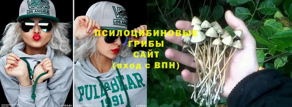 таблы Козельск