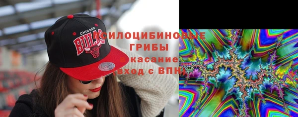прущая мука Коряжма
