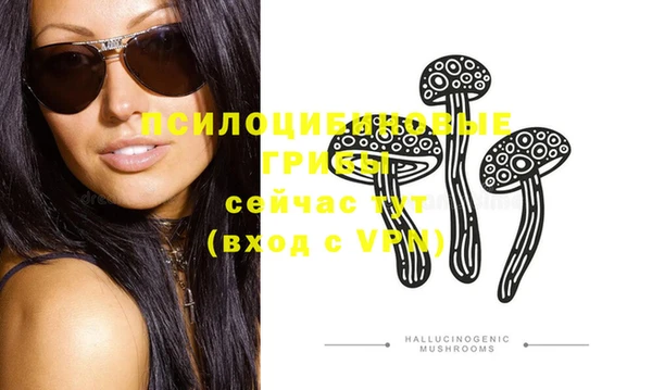 Альфа ПВП Кодинск