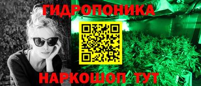 шишки Ипатово
