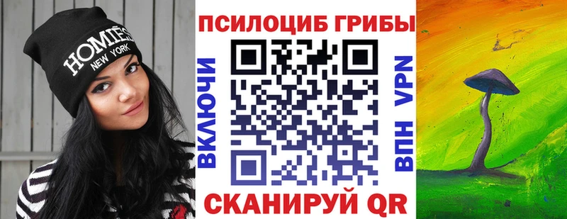 где можно купить наркотик  Рославль  Псилоцибиновые грибы Magic Shrooms 