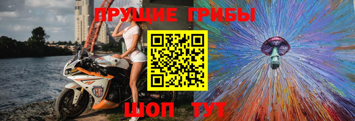 Галлюциногенные грибы прущие грибы  Вход с VPN  Рославль 